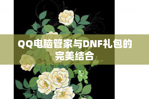 QQ电脑管家与DNF礼包的完美结合 QQ电脑管家与DNF礼包的完美结合