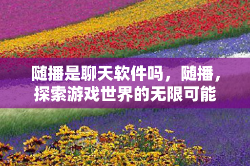 随播是聊天软件吗，随播，探索游戏世界的无限可能