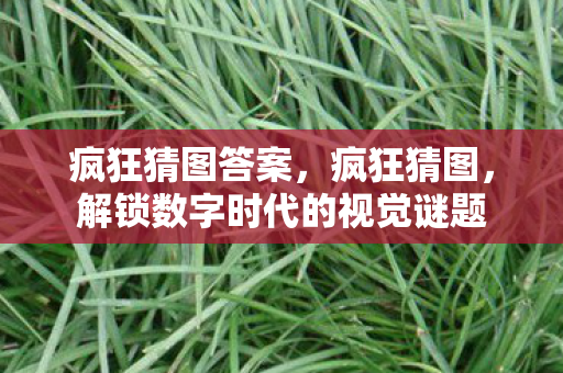 疯狂猜图答案，疯狂猜图，解锁数字时代的视觉谜题