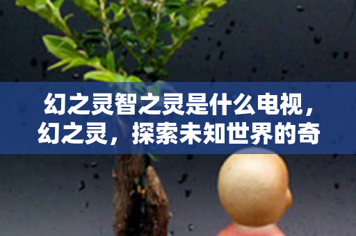 幻之灵智之灵是什么电视,幻之灵,探索未知世界的奇幻之旅 幻之灵智之灵是什么电视,幻之灵,探索未知世界的奇幻之旅