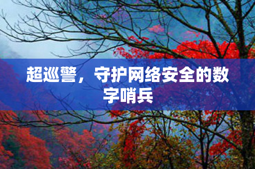 超巡警,守护网络安全的数字哨兵 超巡警,守护网络安全的数字哨兵