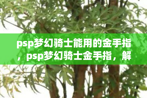 psp梦幻骑士能用的金手指,psp梦幻骑士金手指,解锁无限可能的冒险之旅 psp梦幻骑士能用的金手指,psp梦幻骑士金手指,解锁无限可能的冒险之旅