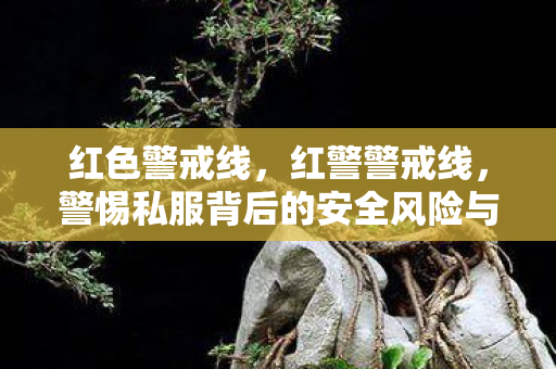 红色警戒线,红警警戒线,警惕私服背后的安全风险与隐私隐患 红色警戒线,红警警戒线,警惕私服背后的安全风险与隐私隐患