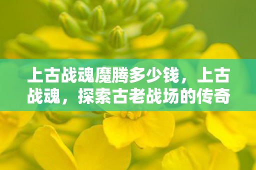 上古战魂魔腾多少钱,上古战魂,探索古老战场的传奇故事 上古战魂魔腾多少钱,上古战魂,探索古老战场的传奇故事