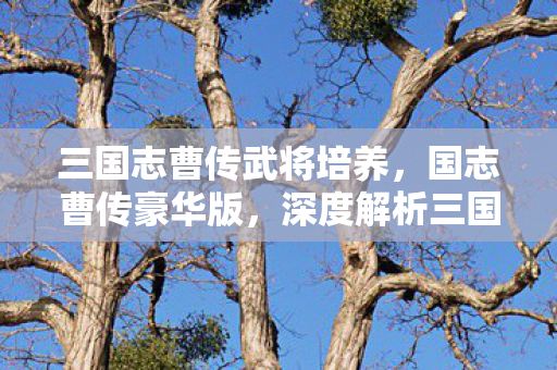 三国志曹传武将培养,国志曹传豪华版,深度解析三国英雄传奇的豪华盛宴 三国志曹传武将培养,国志曹传豪华版,深度解析三国英雄传奇的豪华盛宴
