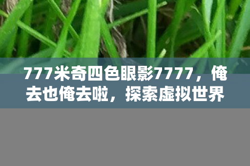 777米奇四色眼影7777，俺去也俺去啦，探索虚拟世界的无限可能