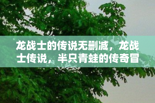 龙战士的传说无删减，龙战士传说，半只青蛙的传奇冒险