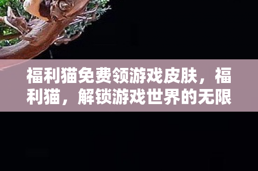福利猫免费领游戏皮肤,福利猫,解锁游戏世界的无限可能 福利猫免费领游戏皮肤,福利猫,解锁游戏世界的无限可能