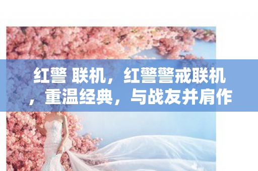 红警 联机,红警警戒联机,重温经典,与战友并肩作战 红警 联机,红警警戒联机,重温经典,与战友并肩作战