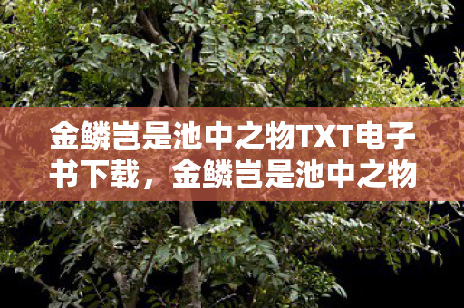 金鳞岂是池中之物TXT电子书下载,金鳞岂是池中之物,探索游戏世界的无限可能 金鳞岂是池中之物TXT电子书下载,金鳞岂是池中之物,探索游戏世界的无限可能