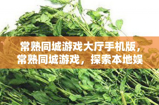 常熟同城游戏大厅手机版，常熟同城游戏，探索本地娱乐新风尚