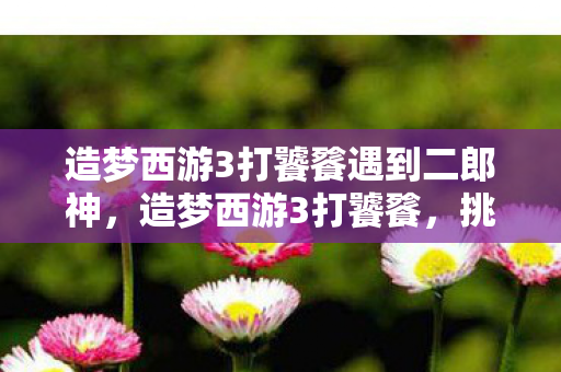 造梦西游3打饕餮遇到二郎神,造梦西游3打饕餮,挑战与策略的深度解析 造梦西游3打饕餮遇到二郎神,造梦西游3打饕餮,挑战与策略的深度解析