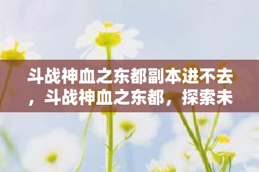 斗战神血之东都副本进不去，斗战神血之东都，探索未知世界的奇幻之旅
