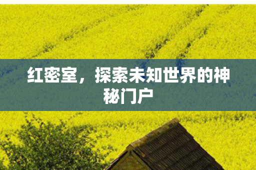 红密室,探索未知世界的神秘门户 红密室,探索未知世界的神秘门户