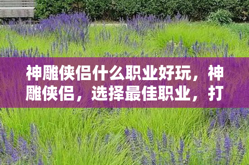 神雕侠侣什么职业好玩,神雕侠侣,选择最佳职业,打造传奇之路 神雕侠侣什么职业好玩,神雕侠侣,选择最佳职业,打造传奇之路