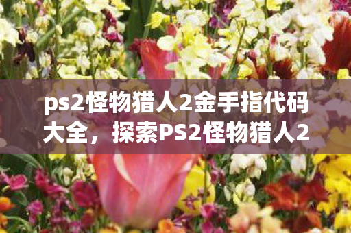 ps2怪物猎人2金手指代码大全,探索PS2怪物猎人2金手指的奇妙世界 ps2怪物猎人2金手指代码大全,探索PS2怪物猎人2金手指的奇妙世界