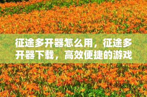 征途多开器怎么用,征途多开器下载,高效便捷的游戏体验 征途多开器怎么用,征途多开器下载,高效便捷的游戏体验