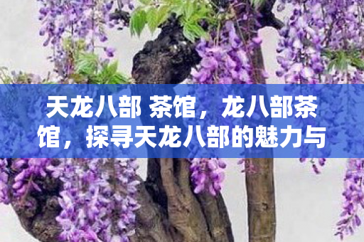 天龙八部 茶馆,龙八部茶馆,探寻天龙八部的魅力与传奇 天龙八部 茶馆,龙八部茶馆,探寻天龙八部的魅力与传奇