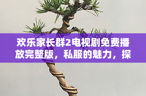 欢乐家长群2电视剧免费播放完整版，私服的魅力，探索游戏世界的另一种方式