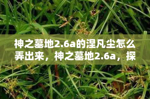 神之墓地2.6a的涅凡尘怎么弄出来，神之墓地2.6a，探索未知世界的奇幻之旅