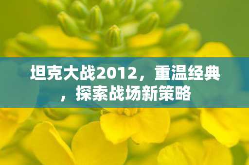 坦克大战2012,重温经典,探索战场新策略 坦克大战2012,重温经典,探索战场新策略