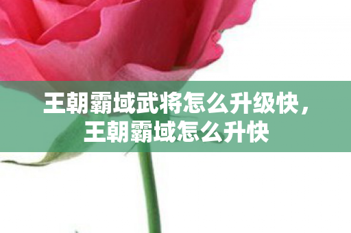 王朝霸域武将怎么升级快,王朝霸域怎么升快 王朝霸域武将怎么升级快,王朝霸域怎么升快