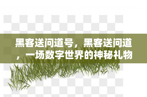 黑客送问道号,黑客送问道,一场数字世界的神秘礼物 黑客送问道号,黑客送问道,一场数字世界的神秘礼物