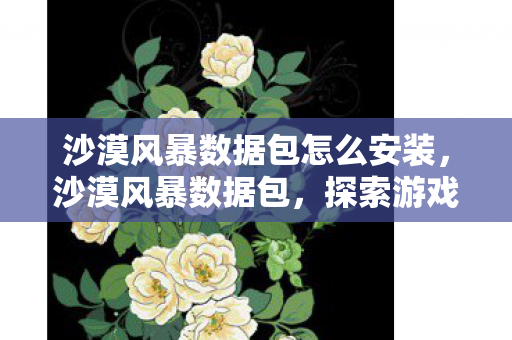 沙漠风暴数据包怎么安装,沙漠风暴数据包,探索游戏数据包的奥秘与影响 沙漠风暴数据包怎么安装,沙漠风暴数据包,探索游戏数据包的奥秘与影响