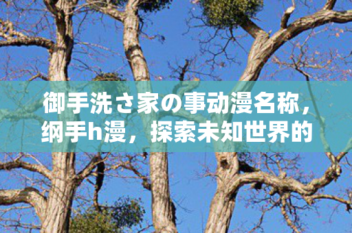 御手洗さ家の事动漫名称,纲手h漫,探索未知世界的奇幻之旅 御手洗さ家の事动漫名称,纲手h漫,探索未知世界的奇幻之旅