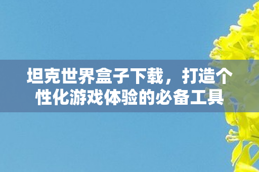 坦克世界盒子下载,打造个性化游戏体验的必备工具 坦克世界盒子下载,打造个性化游戏体验的必备工具