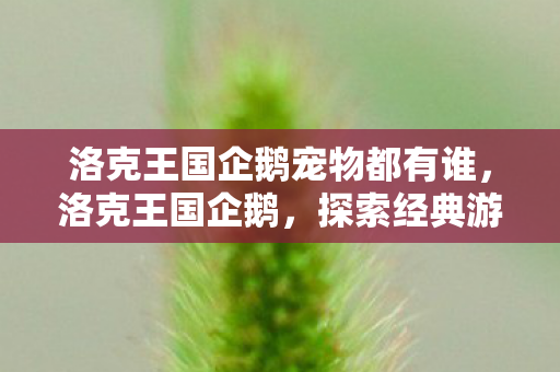 洛克王国企鹅宠物都有谁，洛克王国企鹅，探索经典游戏的魅力与传承
