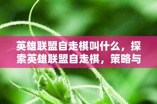 英雄联盟自走棋叫什么,探索英雄联盟自走棋,策略与智慧的碰撞 英雄联盟自走棋叫什么,探索英雄联盟自走棋,策略与智慧的碰撞
