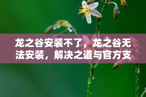 龙之谷安装不了,龙之谷无法安装,解决之道与官方支持的重要性 龙之谷安装不了,龙之谷无法安装,解决之道与官方支持的重要性