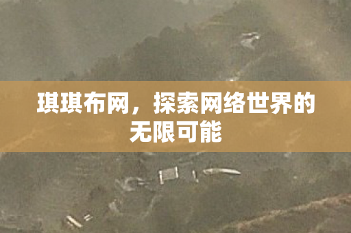 琪琪布网,探索网络世界的无限可能 琪琪布网,探索网络世界的无限可能