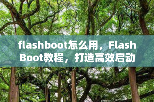 flashboot怎么用,FlashBoot教程,打造高效启动U盘 flashboot怎么用,FlashBoot教程,打造高效启动U盘