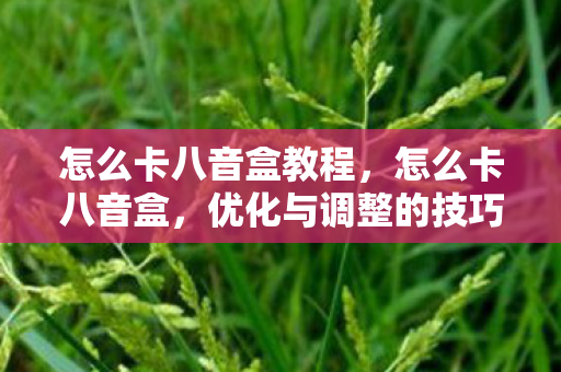 怎么卡八音盒教程,怎么卡八音盒,优化与调整的技巧 怎么卡八音盒教程,怎么卡八音盒,优化与调整的技巧