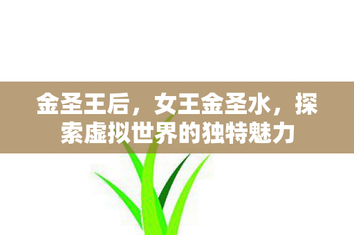 金圣王后，女王金圣水，探索虚拟世界的独特魅力