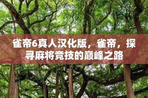 雀帝6真人汉化版，雀帝，探寻麻将竞技的巅峰之路