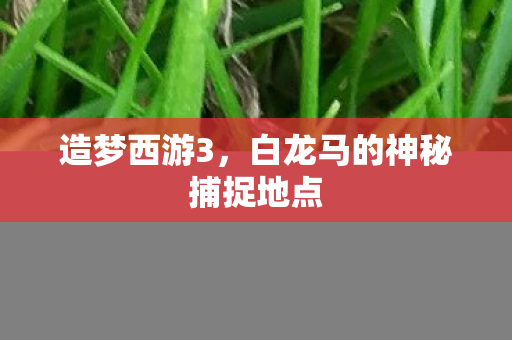 造梦西游3,白龙马的神秘捕捉地点 造梦西游3,白龙马的神秘捕捉地点