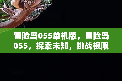 冒险岛055单机版,冒险岛055,探索未知,挑战极限 冒险岛055单机版,冒险岛055,探索未知,挑战极限