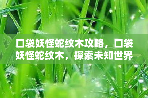 口袋妖怪蛇纹木攻略,口袋妖怪蛇纹木,探索未知世界的奇幻之旅 口袋妖怪蛇纹木攻略,口袋妖怪蛇纹木,探索未知世界的奇幻之旅