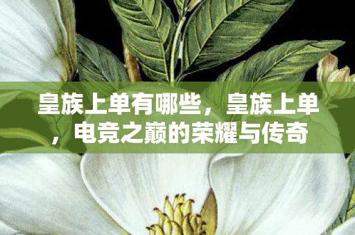 皇族上单有哪些，皇族上单，电竞之巅的荣耀与传奇