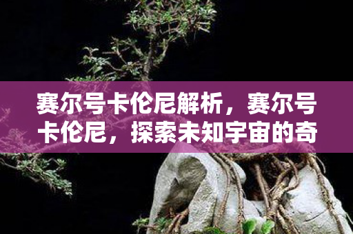 赛尔号卡伦尼解析,赛尔号卡伦尼,探索未知宇宙的奇妙之旅 赛尔号卡伦尼解析,赛尔号卡伦尼,探索未知宇宙的奇妙之旅