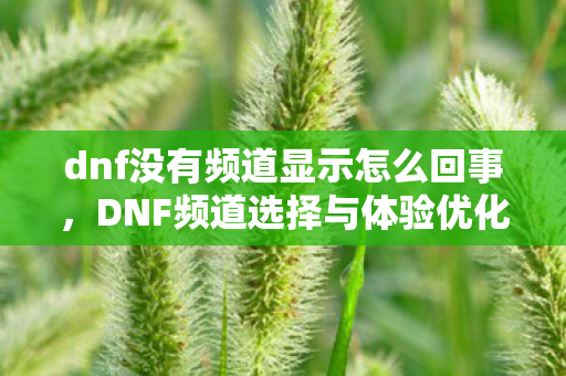 dnf没有频道显示怎么回事，DNF频道选择与体验优化，打造流畅游戏旅程的秘诀