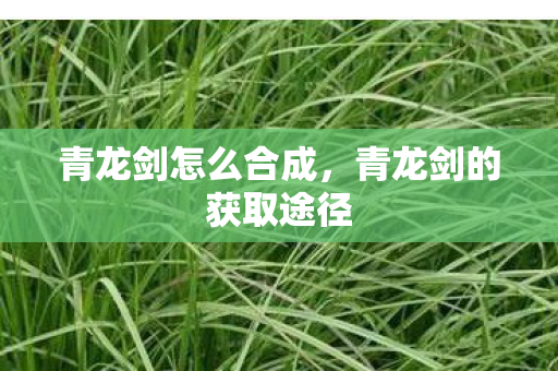 青龙剑怎么合成,青龙剑的获取途径 青龙剑怎么合成,青龙剑的获取途径