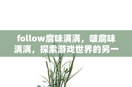 follow腐味满满，啵腐味满满，探索游戏世界的另一面
