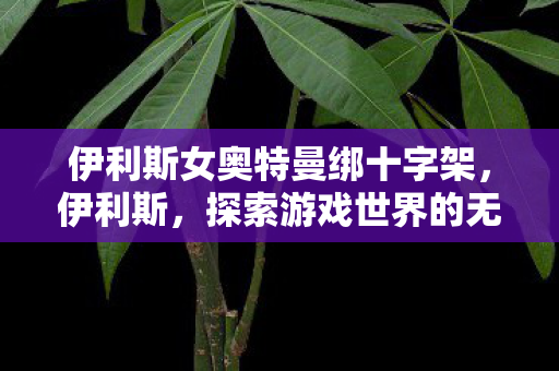 伊利斯女奥特曼绑十字架，伊利斯，探索游戏世界的无限可能