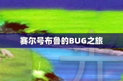 赛尔号布鲁的BUG之旅 赛尔号布鲁的BUG之旅