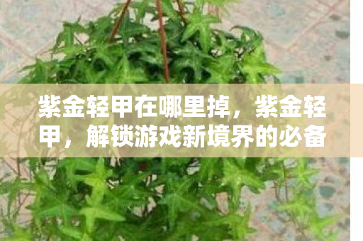 紫金轻甲在哪里掉,紫金轻甲,解锁游戏新境界的必备神器 紫金轻甲在哪里掉,紫金轻甲,解锁游戏新境界的必备神器