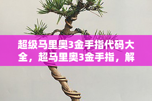 超级马里奥3金手指代码大全，超马里奥3金手指，解锁游戏新境界的秘籍